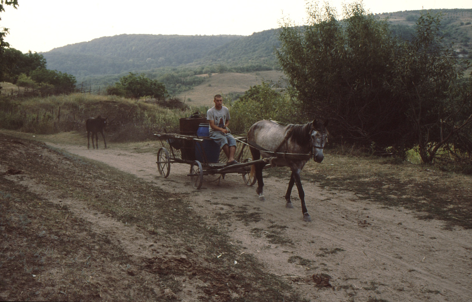 u napajedla povoz